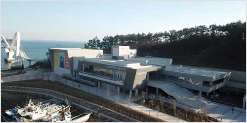 주꾸미가 들어 올린 바다 속 보물, ‘국립태안해양유물전시관’에서 만나요